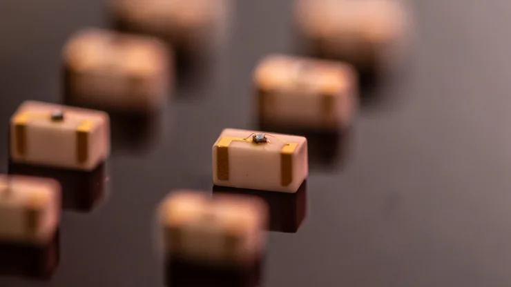 Phlux SHAW STUDIO 254 1